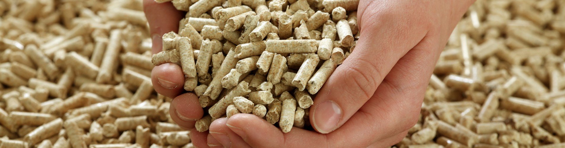 Specifications, certifications and quality standards of biomass pellets